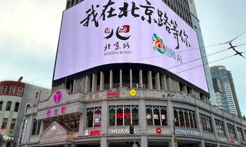 Beijing Road Pedestrian Street (7)